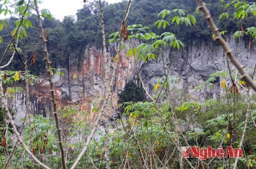 Những vùng đất bằng phẳng dưới chân núi, bà con Phá Đáy trồng sắn, mía và các loại hoa màu khác. Đất đai nơi đây màu mỡ nên các loại cây trồng phát triển tốt.