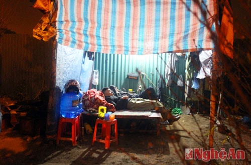 Thành Vinh đêm về mưa phùn, gió lạnh những người buôn đào tranh thủ ngủ trong những căn lều dựng tạm trên vỉa hè.