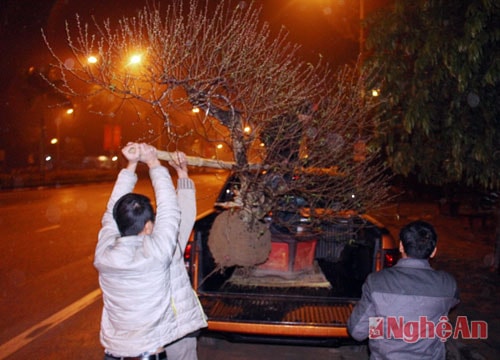 Tận tình bốc lên xe cho khách.