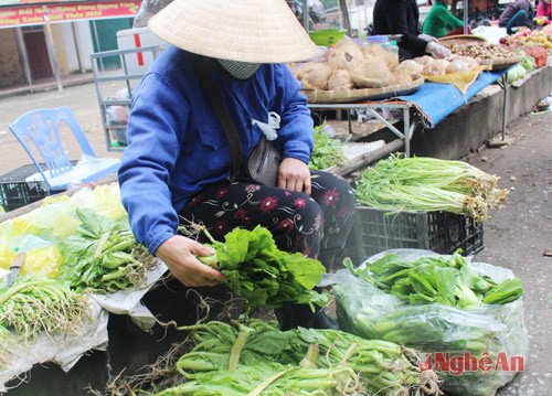 Từ gần một tuần nay, các loại rau tại chợ Quang Trung (TP Vinh) tăng giá mạnh. 