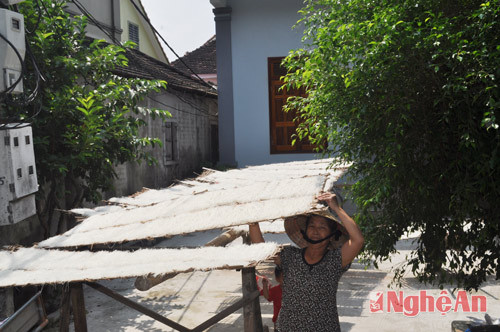 Người dân Làng nghề Quy Chính phơi miến trong sân nhà