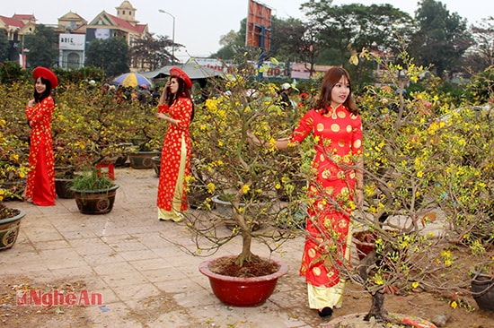 Nhiều nhóm bạn rủ nhau chụp ảnh Tết tại chợ hoa khu vực Công viên trung tâm thành phố Vinh.