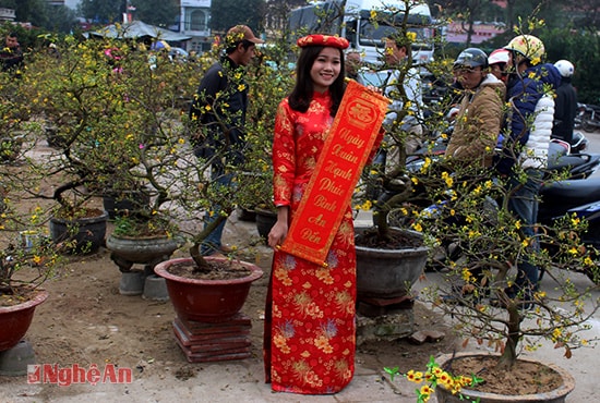 Câu đối đỏ, cành mai vàng, thiếu nữ thướt tha trong tà áo dài là những hình ảnh đậm chất Tết.