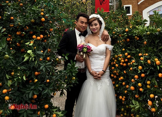 Vườn đào, mai rực rỡ khoe sắc cũng là không gian tình yêu lý tưởng, độc đáo để lưu giữ bộ tấm ảnh cưới của đôi bạn trẻ. Ai cũng mong muốn lưu giữ những khoảnh khắc đẹp, khó quên trước thềm năm mới.