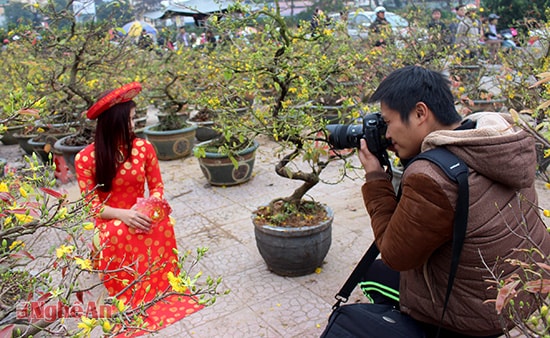 Say sưa sáng tác giữa không gian ngập tràn sắc Mai vàng báo xuân