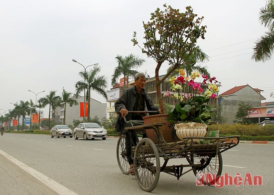 Chở Xuân về nhà