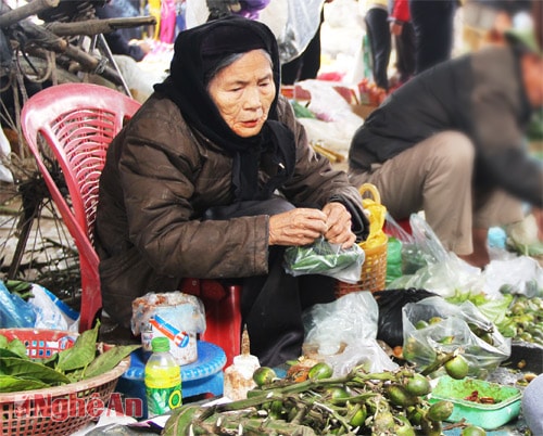 Bà cụ già mang những quả cau lá trầu vừa hái sau vườn để kịp bán phiên chợ Tết. 