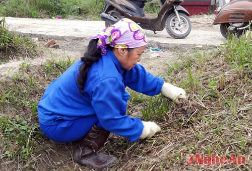 Bà Nguyễn Thị Bình đang chăm sóc cho các mộ phần ở nghĩa trang Nam Cung.