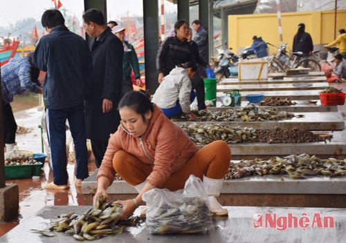 Bến cá Diễn Ngọc ngày cuối năm không đông đúc người như ngày thường, vì hải sản đánh bắt được không phong phú.