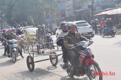 Hai bố con người bán đào trên đường Trần Phú  giữ lại một cành đào cuối cùng về nhà chưng tết