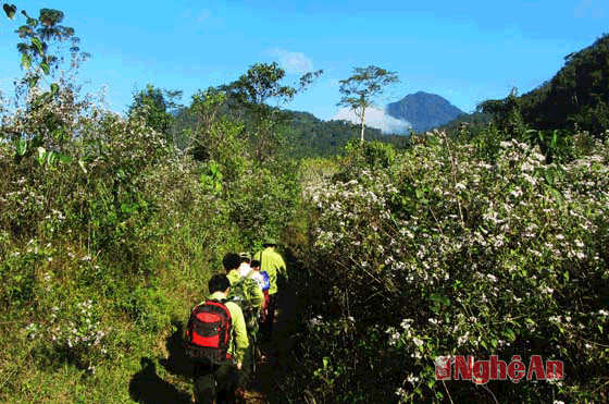 Từ bản Mường Đán, các cán bộ Khu BTTN Pù Hoạt và người dân địa phương chuẩn bị dồ dùng để đi rừng, từ dép rọ, xà cạp, bát đũa, nồi niêu, lương thực...