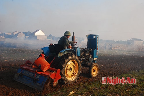 Ngay sau những ngày vui tết, tranh thủ thời tiết nắng ấm từ ngày 3 Tết nông dân đã xuống đồng. Do rét hại kéo dài nên cây mạ yếu chưa kịp hồi sinh đa số các xã đã chỉ đạo người dân trồng màu trước để tranh chấp thời vụ.