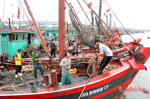 Tàu
