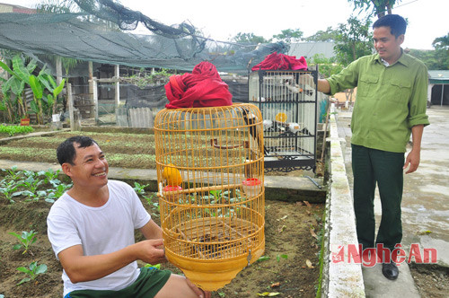 Không chỉ đảm bảo thông tin, các anh vẫn là Bộ đội Cụ Hồ