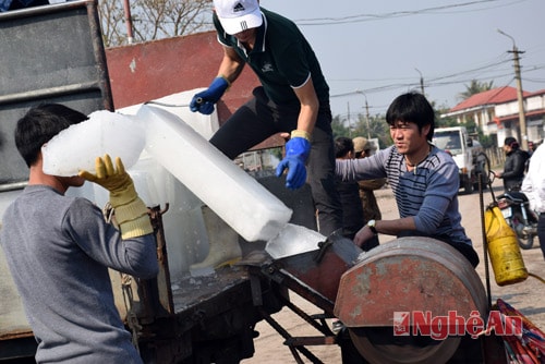 Chủ tàu Trần Văn Hà, ở bến lạch Quèn chuẩn bị đá lạnh cho chuyến biển đầu năm.