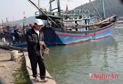 Lão ngư Trần Nam ở xã Sơn Hải (Quỳnh Lưu) cho biết, tàu của ông ra khơi từ ngày 20 tháng Chạp đến sáng mồng 5 tết mới về. Chuyến này tàu của ông chủ yếu đánh bắt mực.