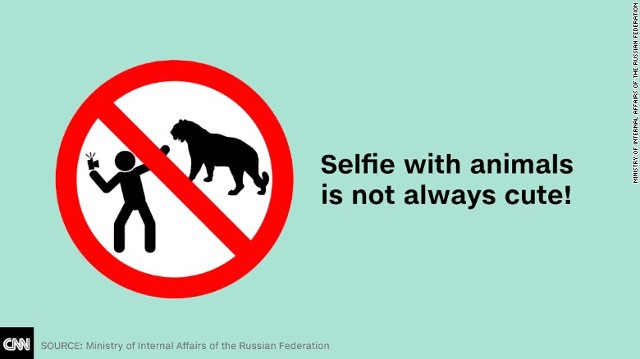 Selfie với động vật không phải lúc nào cũng dễ thương!