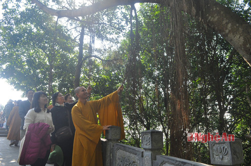 Các vị chức sắc trụ Ban trị sự Phật giáo Việt Nam tại Nghệ An cùng nhân dân tham gia lễ và thưởng thức cảnh quan và không gian Khu mộ