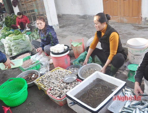 Giá cả hàng hải sản đầu năm không chênh lệch nhiều so với ngày thường, ngao được bán với giá 30 nghìn/kg