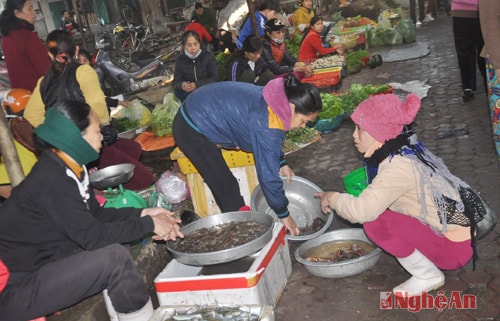 Tôm loại vừa có giá 100 nghìn đồng/kg, ghẹ