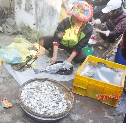 Cá vược dùng để nấu cháo cũng là mặt hàng bán khá chạy tại chợ Hải sản với giá 100 nghìn đồng/kg