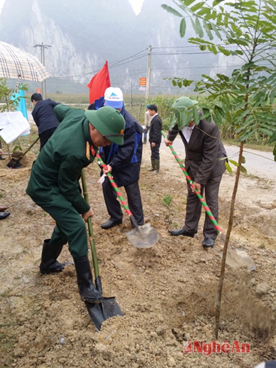 Lãnh đạo huyện Anh Sơn tham gia tết trồng cây