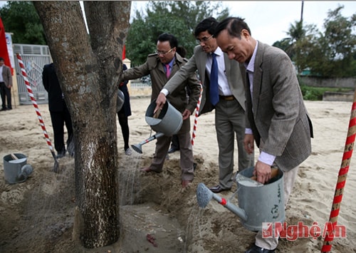 Lãnh đạo TX Cửa Lò tham gia trồng cây.