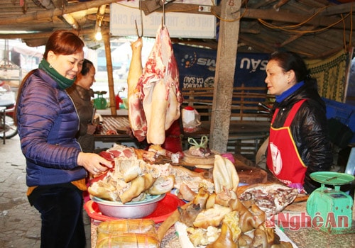 thị bò