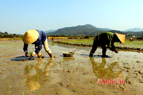 nét đẹp