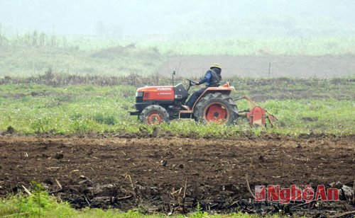 Làm đất trồng mới diện tích mía tại xã Kỳ Sơn, Tân Kỳ.