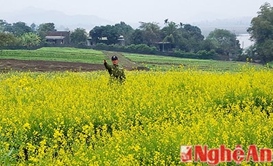 Nhưng bảo vệ đã bắt gặp.