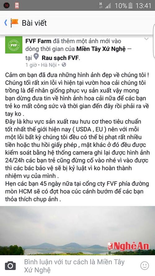 Phía công ty quản lý vườn cải lên tiếng khi không cho mọi người vào chụp ảnh với hoa.