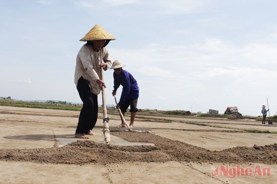 Ông Trương Văn Tâm và bà Lê Thị Tường (xóm Kim Liên - Diễn Kim - Diễn Châu) trên đồng muối.