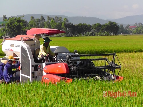 Đưa cơ giới hóa vào sản xuất tại Nhân Thành - Yên Thành.