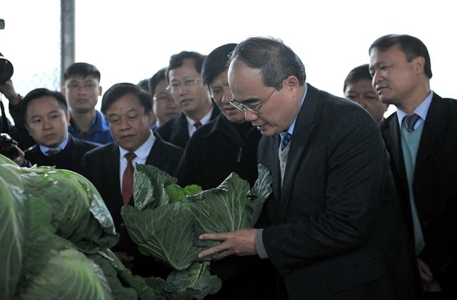 Chủ tịch Ủy ban Trung ương MTTQ Việt Nam Nguyễn Thiện Nhân tham quan mô hình sản xuất rau sạch ở Hà Nam