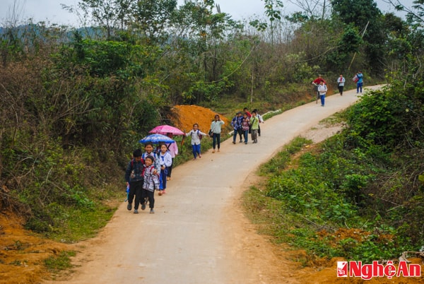 Nhiều con đường ở xã Châu Kim, huyện Quế Phong đã được đổ bê tông, tạo thuận lợi cho con em đến trường