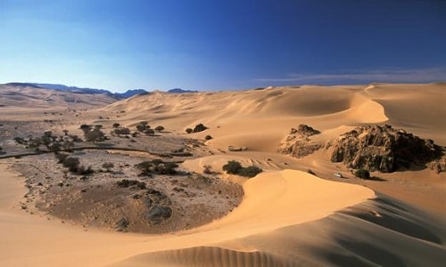  Sa mạc Sahara. Ảnh: Frans Lemmens/Alamy Stock Photo.