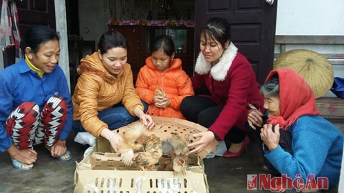Đoàn xã Nghi Yên tặng gà cho hộ nghèo.