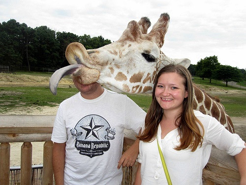 Trong chuyến tham quan vườn thú, cặp tình nhân này muốn chụp hình lưu niệm cùng chú hươu cao cổ, song dường như con vật cao lớn không hề muốn người bạn trai xuất hiện trong ảnh.