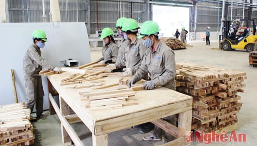 Công nhân làm việc tại Nhà máy chế biến gỗ và ván sợi công nghiệp MDF