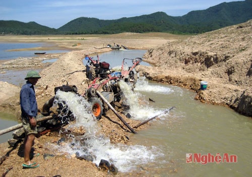 Chống hạn ở Hưng Nguyên năm 2014. 