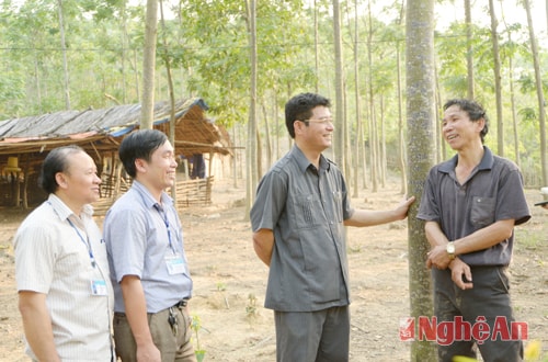 Lãnh đạo huyện Tương Dương trao đổi với ông Kha Văn Bình, bản Tân Hợp(Tam Thái) điển hình về trồng rừng kết hợp trồng trọt cho hiệu quả kinh tế cao