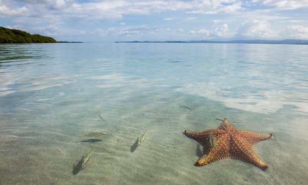 Cán đích vị trí thứ 6 là Starfish Beach, Panama với 2 quần đảo mà bạn sẽ phải tốn rất nhiều tiền để đi đến là San Blas và Pearl; nhưng với bờ biển hoang sơ tại Bocas del Toro ở phía Nam Costa Rica, bạn sẽ chỉ phải bỏ ra một khoản tiền vô cùng khiêm tốn. Từ trung tâm thị trấn của Bocas trên Isla Colón, bạn có thể bắt taxi thuyền để đi lại giữa 10 đảo có người sinh sống và 300 đảo lớn nhỏ khác trong vùng.