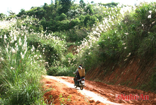 Dù đã có xe máy nhưng cái gùi, cái bế vẫn không rời lưng