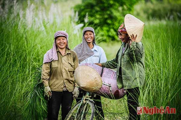 Niềm vui các mẹ trên đồng bãi