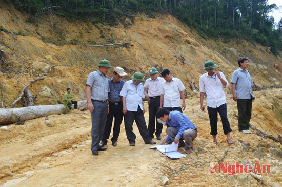 Buông lỏng quản lý dẫn tới việc phá rừng tại Con Cuông.