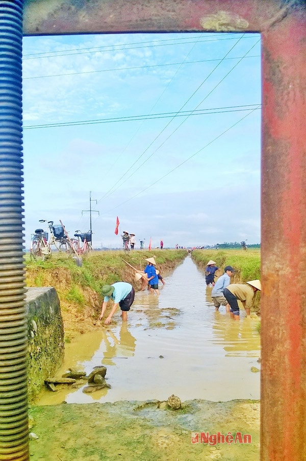 Khơi thông dòng chảy tại cửa cống thủy lợi xã Minh Sơn (Đô Lương)