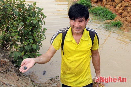Công sức của người đàn ông này suốt 1 ngày là viên đá có thể đem về đặt vào bể cá.