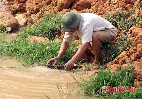 Nuôi giấc mơ đổi đời từ những viên đá màu trong bãi đất thải hay dưới hố sâu đang thi công..