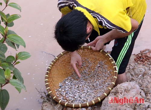 Người dân Châu Bình vẫn tin vào những câu chuyện truyền miệng ở bản này, bản kia có người đào được viên đá trị giá hàng tỷ đồng.